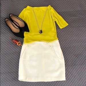 The Limited - Mini Skirt with Lining - Brand New